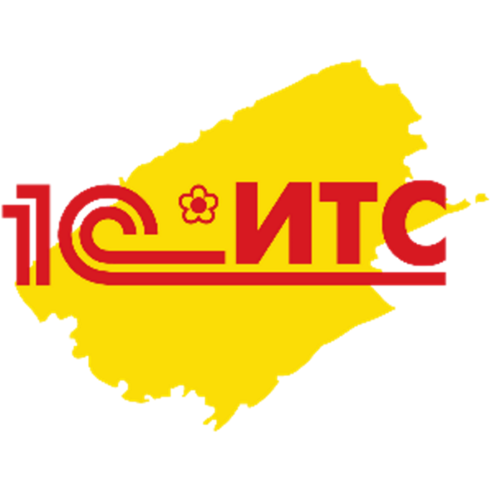 IT Service